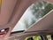 2025 Kia Sportage EX - KIA CERTIFIED / PANORAMICE SUNROOF