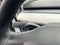 2020 Tesla Model 3 Performance - SELF DRIVING PKG / PEDESTRIAN BRAKING