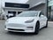2020 Tesla Model 3 Performance - SELF DRIVING PKG / PEDESTRIAN BRAKING