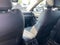 2025 Mazda Mazda CX-50 Hybrid Premium - POWER MOONROOF / APPLE CARPLAY