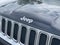 2015 Jeep Renegade Limited