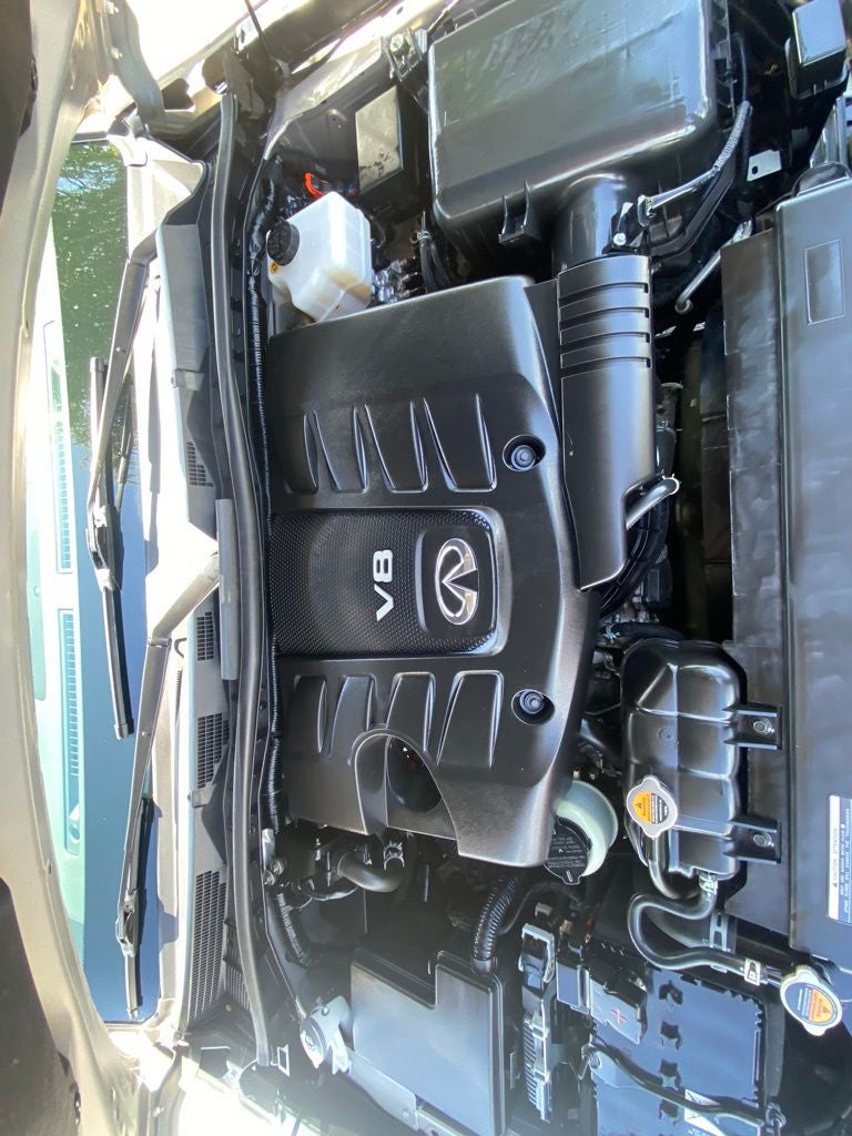 2024 INFINITI QX80 Sensory