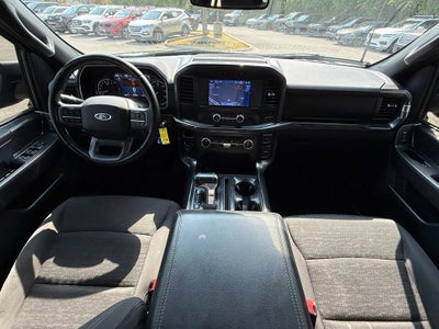 2023 Ford F-150 XLT 4WD