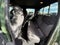 2026 Nissan Frontier SV - 4WD / CLEAN CARFAX / ONE OWNER