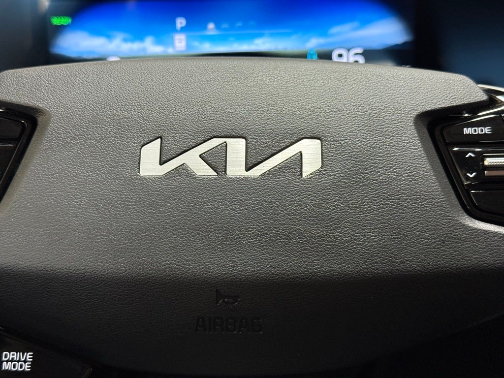 2024 Kia Niro EV Wind EV