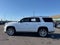2019 Cadillac Escalade Platinum Edition