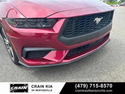 2025 Ford Mustang EcoBoost - CLEAN CARFAX / ONE OWNER