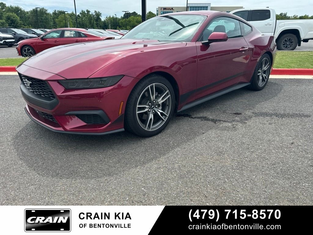 2025 Ford Mustang EcoBoost - CLEAN CARFAX / ONE OWNER