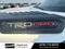 2024 Toyota Sequoia TRD Pro - 4WD / CLEAN CARFAX / PANORAMIC SUNROOF