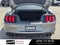 2021 Ford Mustang GT Premium 6-Speed / Black Accent / Nav